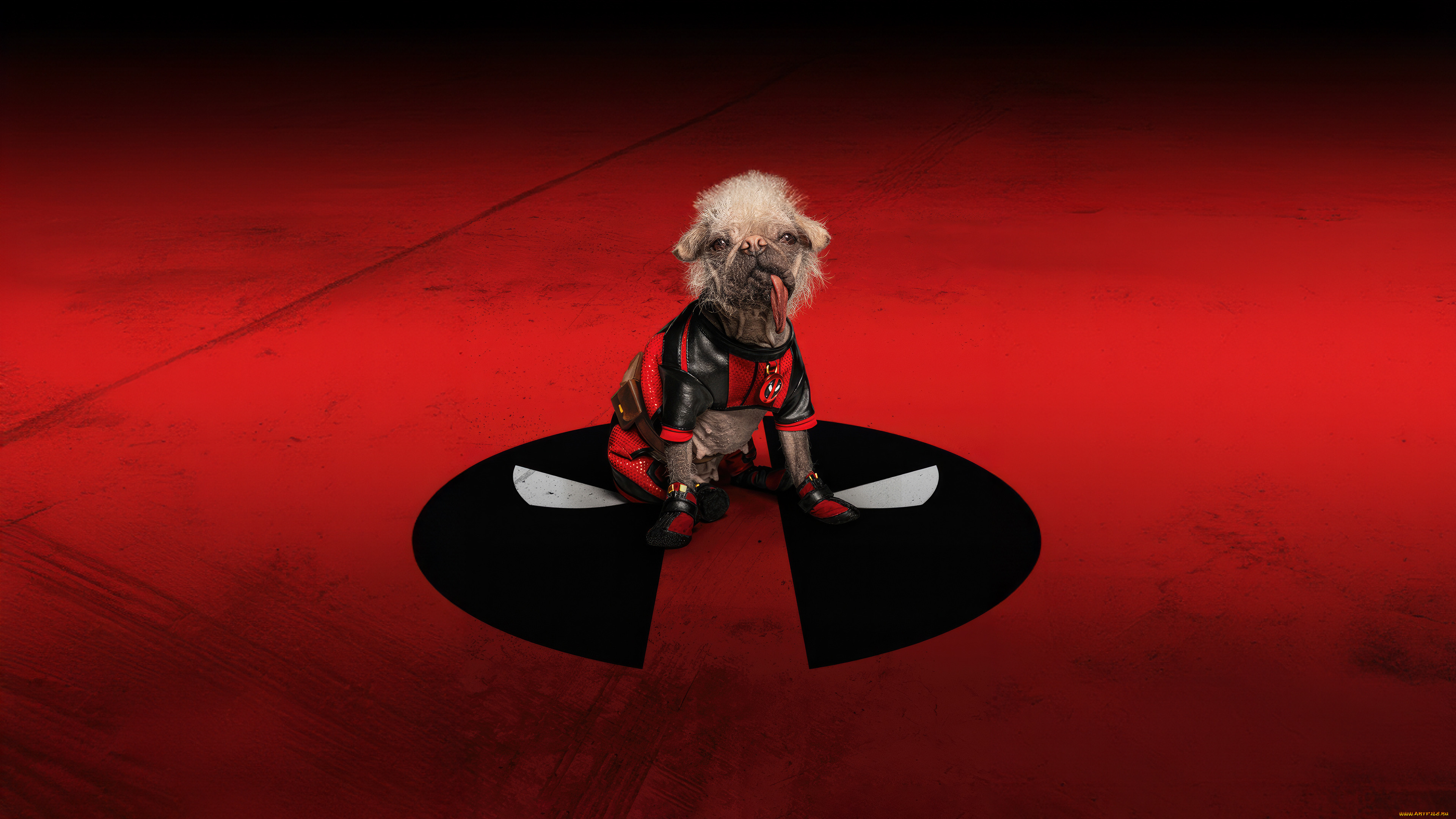 deadpool & wolverine ,  2024 ,  , deadpool & wolverine, , , , , , , marvel